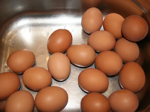Boiled Eggs
